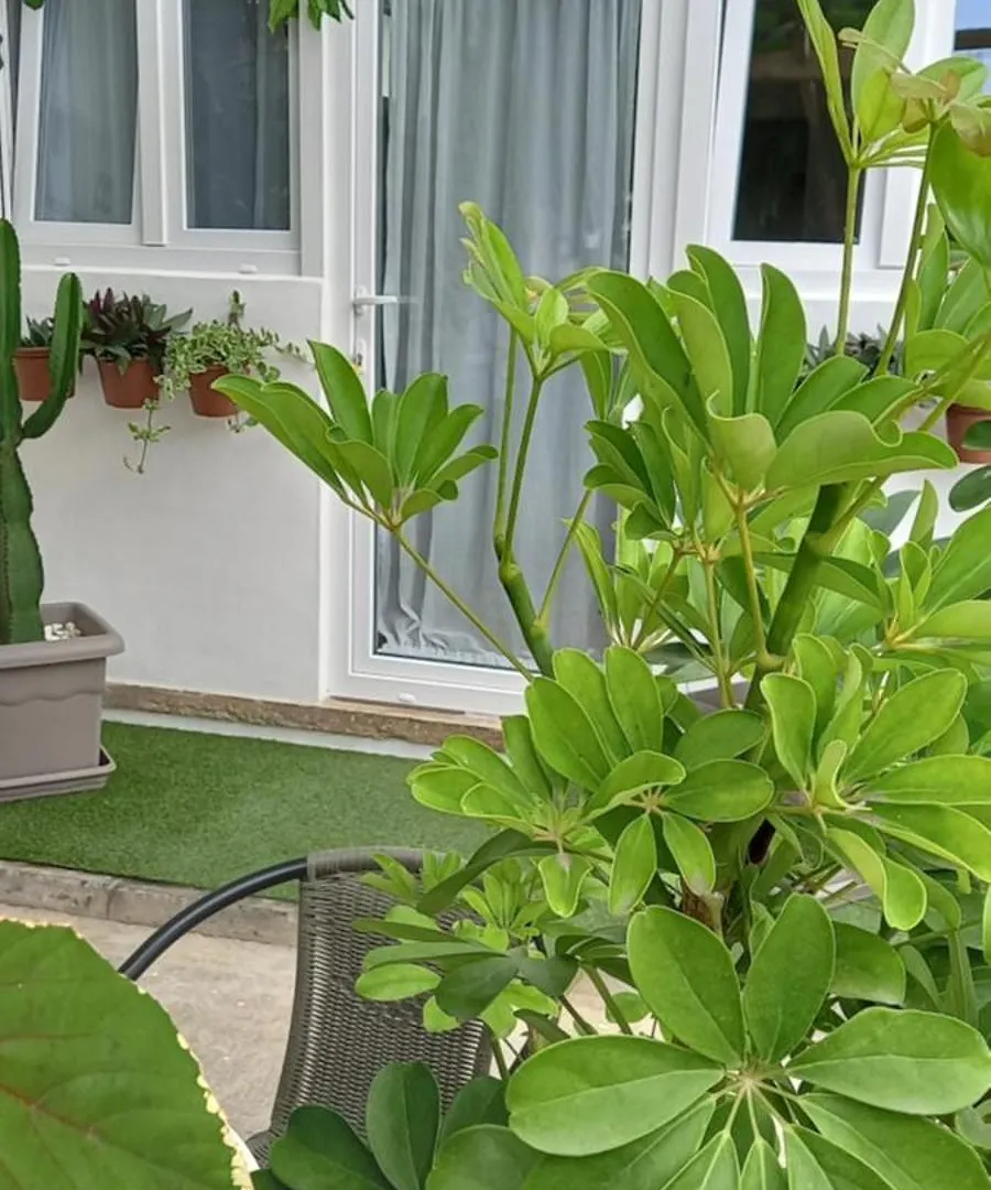 Apartment Welcome Garachico  Spain